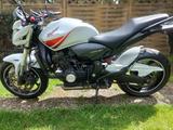 Honda CB 600 FA Hornet - HONDA HORNET 600