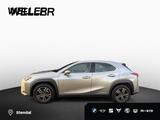 Lexus UX250H Navigation,RF-Kamera,ACC,LED-SW,Park-Ass. - Lexus aus 2019