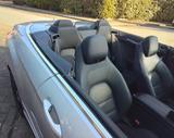 Mercedes-Benz E 320 Cabriolet 6 Zylinder - Mercedes-Benz E 320 Gebrauchtwagen