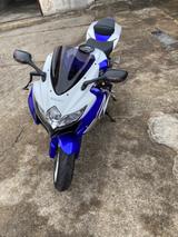 Suzuki GSXR 600  - MOTORRAD 600