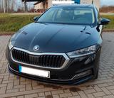 Skoda Octavia 2.0 TDI First Ed. /Zahnriem neu/AHK/Cant - Skoda Octavia Gebrauchtwagen in Rostock