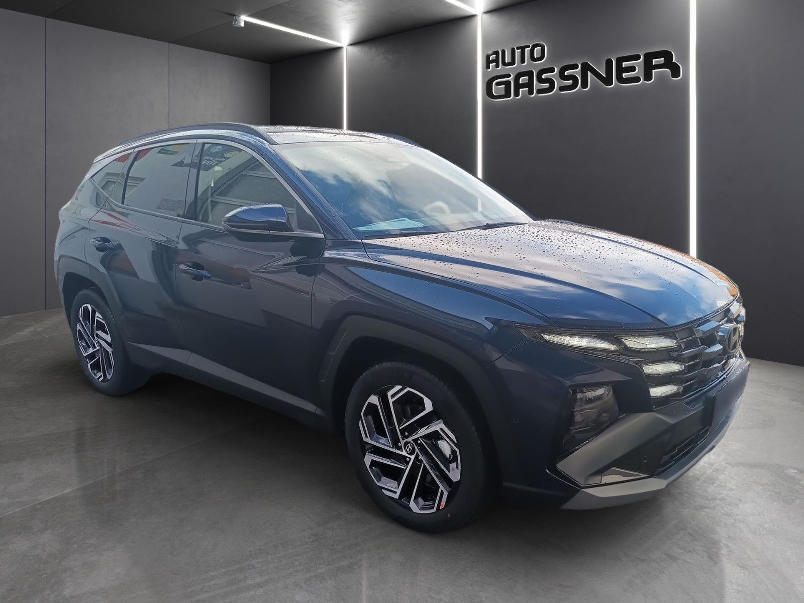 Fahrzeugabbildung Hyundai Tucson Hybrid Prime 239PS 4WD Assip.