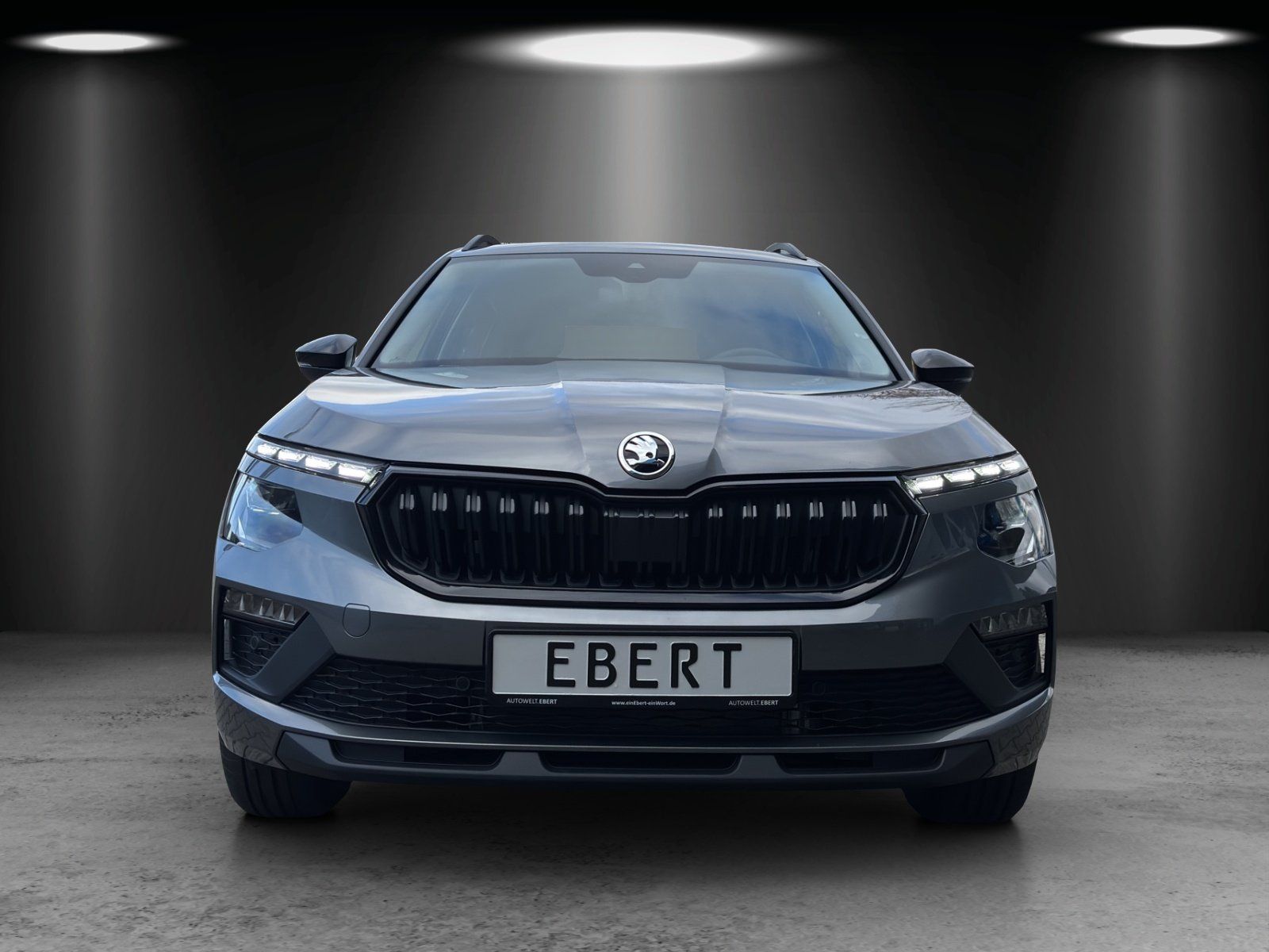 Fahrzeugabbildung SKODA Kamiq Tour 1,0 TSI 85 kW DSG