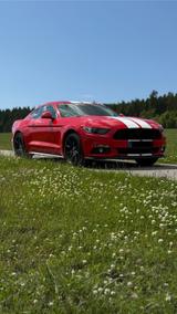 Ford Mustang GT 5.0 V8 Black Shadow  EU Modell - Ford Mustang in Freiburg