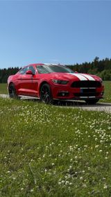 Ford Mustang GT 5.0 V8 Black Shadow  EU Modell - Ford B model Gebrauchtwagen