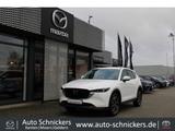 Mazda CX-5 SPORTS-LINE+KAMERA+CARPLAY+BOSE+NAV - Mazda CX-5 in Krefeld