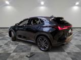 Lexus NX 450h 450h+ E-FOUR - - Lexus NX 450h Gebrauchtwagen