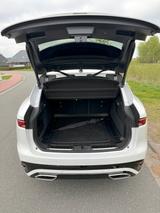 Jaguar F-Pace D300 R-DYNAMIC SE AWD BLACK GARANTIE 9/28 - Jaguar F-Pace aus 2023