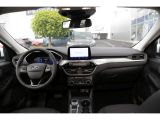 Ford Kuga Titanium X 2,0l EcoBlue Navi Frontkamera - Ford Kuga: Geländewagen