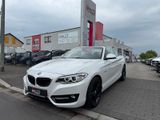 BMW 220i Cabrio Sport Line Navi LED FINANZIERUNG - BMW 220: I