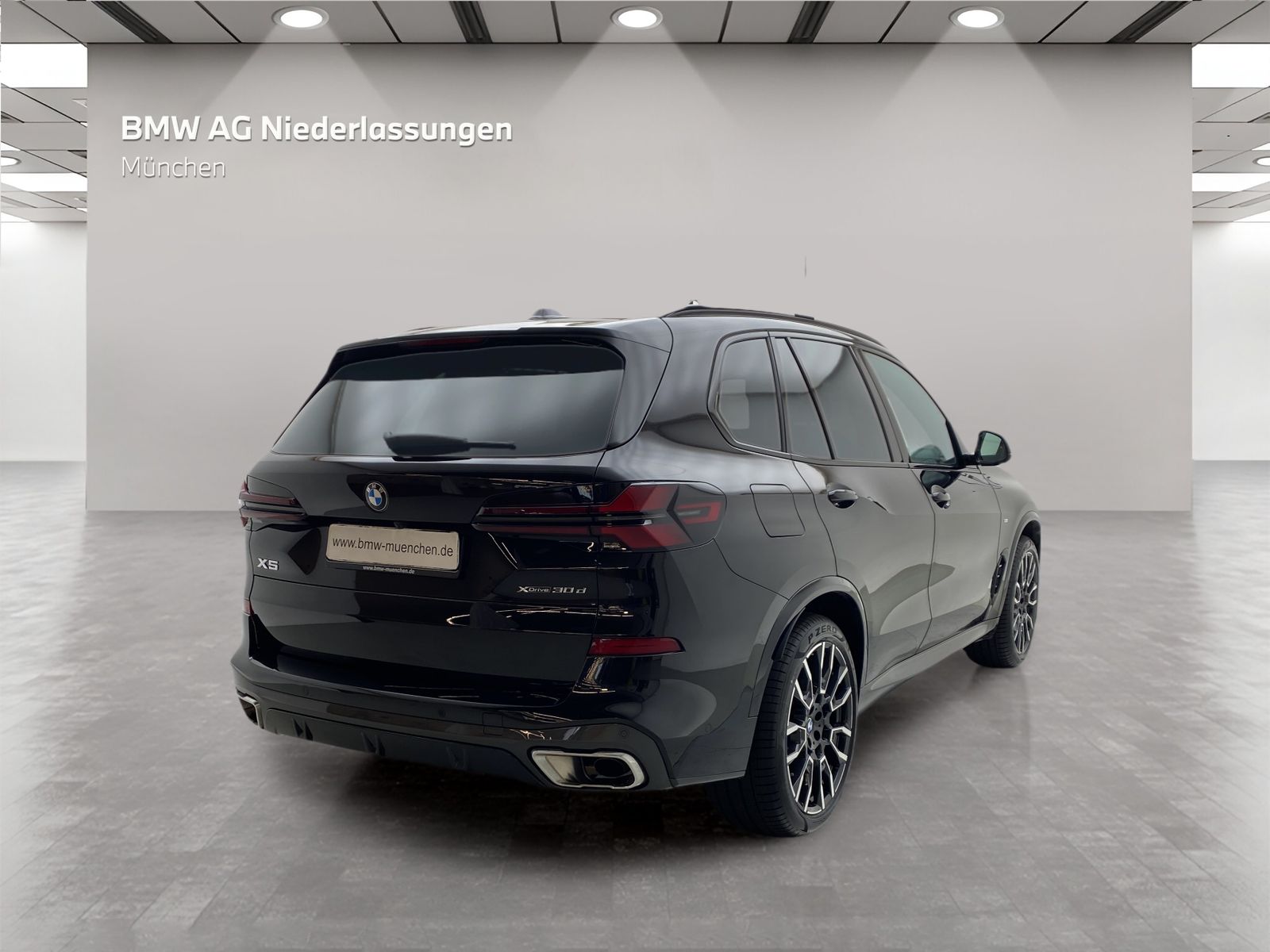 BMW X5 xDrive30d M Sport Standheizung AHK Harman K foto 5