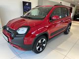 Fiat Panda Cross Red - Fiat Panda Vorführfahrzeuge