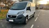 Fiat Ducato - Fiat Ducato in Duisburg