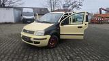 Fiat Panda 1.2 8V Dynamic - Fiat aus 2007