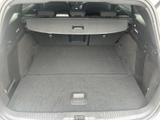 Ford Focus Turnier 1.0 EcoBoost Hybrid Aut. ST-LINE X - Ford Focus: Turnier