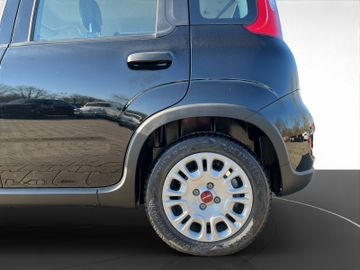 Fiat Panda Hybrid 1.0 GSE Klma+DAB+Isofix+Allwetter
