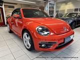 Volkswagen Beetle Cabriolet 1.4 Aut. - nur 37 tkm -  KAM.. - Volkswagen Beetle in Bonn