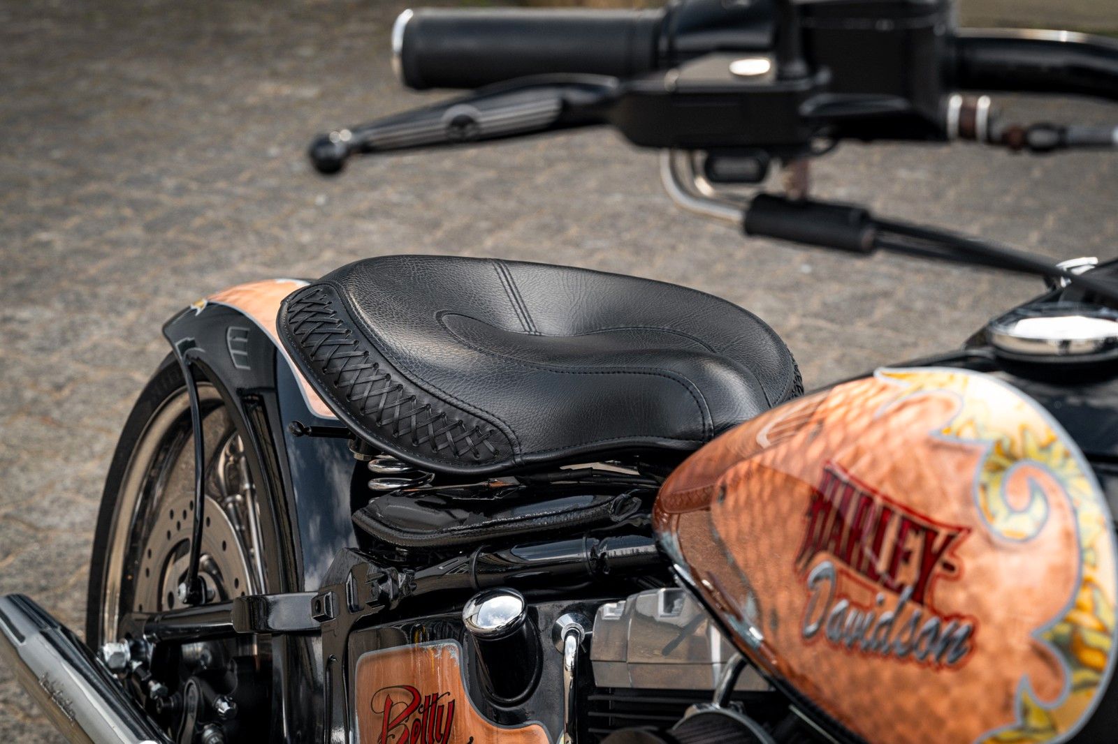 Fahrzeugabbildung Harley-Davidson SOFTAIL CROSS BONES CUSTOM FLSTSB - BIG SPOKE