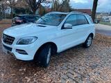 Mercedes-Benz ML 350 BlueTEC 4MATIC - - Mercedes-Benz ML 350 Gebrauchtwagen in Stuttgart