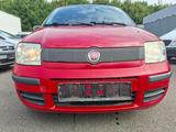 Fiat Panda 1.1 8V Active; 1 HAND, Servo, CD-MP3-AUX.. - Fiat Panda: 3.1