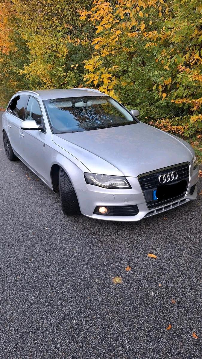Audi Quattro 2011 — вигляд ззаду