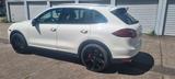 Porsche Cayenne Turbo 22" Zoll - Porsche Cayenne Turbo mit Benzin-Antrieb