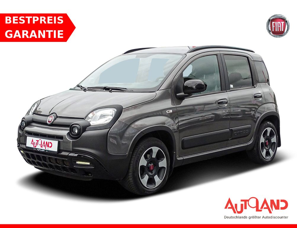 Image of Fiat Panda