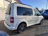 Volkswagen Caddy TSI Edition30 7xSitzpl. Leder NAVI Allwett - Volkswagen Caddy: Edition