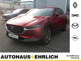 Mazda CX-30 NAVI+PDC+RfK+SHZ+LHZ - gebrauchte Mazda CX-30 aus dem Jahr 2020