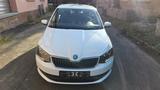 Skoda Fabia Combi Ambition - Skoda Fabia: Weiß, Combi