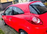 Ford Ka/Ka+ 1,2 Titanium Titanium - Ford Ka/Ka+: 3 Türen