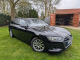 Audi A4 40 TDI S tronic Avant - Standheizung 8 fach B - Audi A4 B8 Gebrauchtwagen