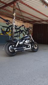 Harley-Davidson Fat Bob  - Harley-Davidson Motorräder in München