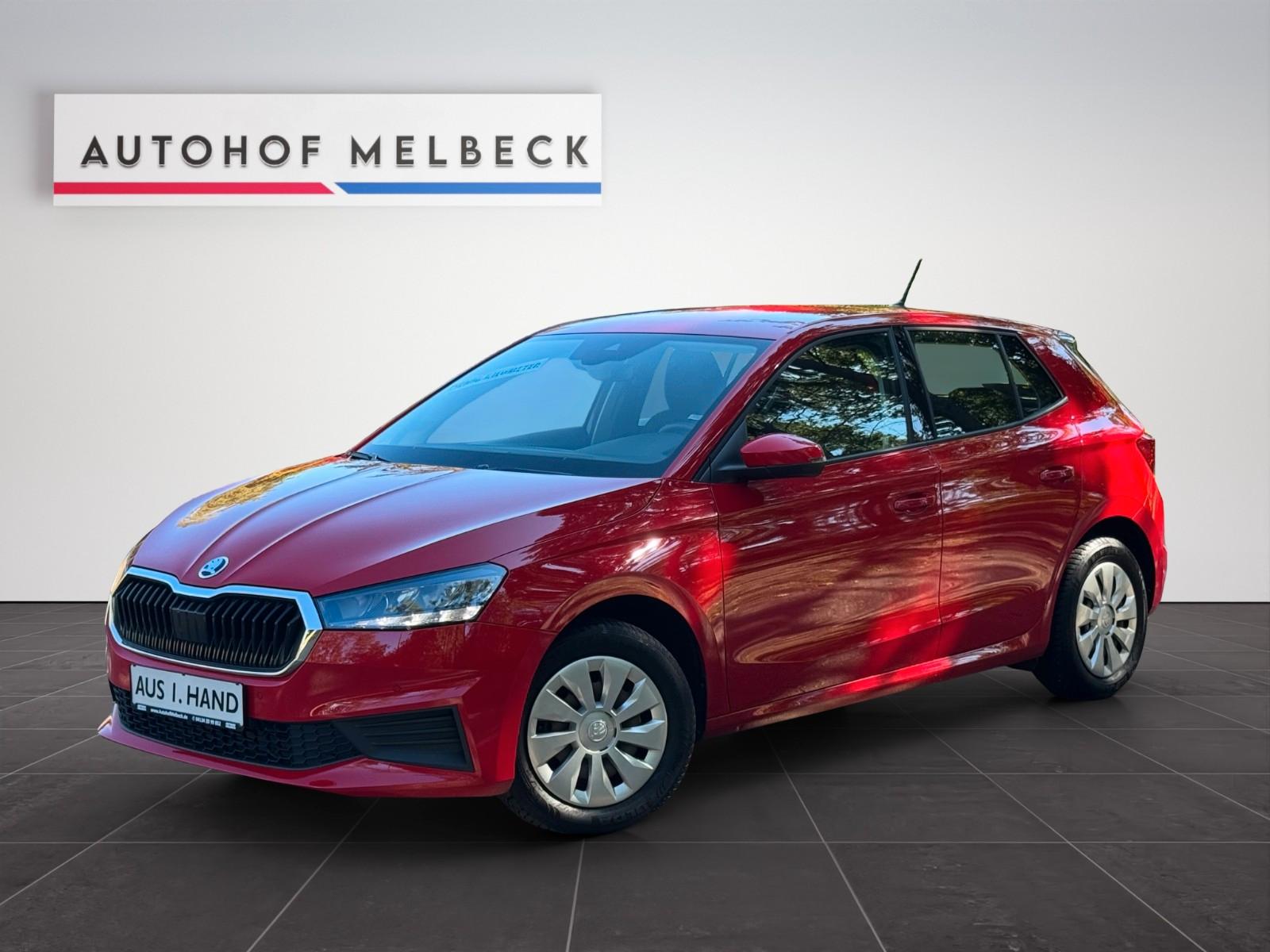 Skoda Fabia Ambition *1.HAND*LED*KAMERA*ACC*MWST*