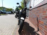 Yamaha XSR 700 LEGACY +++ MODELLJAHR 2024 +++ - Angebote entsprechen deinen Suchkriterien