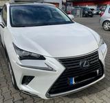 Lexus NX 300 300 AWD Executive Line Executive Line - Lexus: L