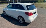 Mercedes-Benz B 200 CDI, weiss, mit AHK, Panoramadach - : Allradantrieb, Van, mit