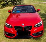 BMW 218d Cabrio Sport Line Sport Line - BMW 2er Reihe mit Diesel-Antrieb: Cabrio