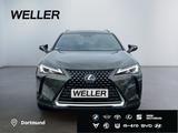 Lexus UX 250h Style Edition *Bi-LED*ACC*CAM*SHZ*CarPla - Lexus UX in Essen