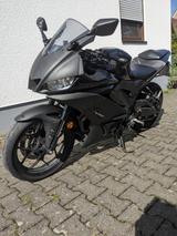 Yamaha YZF-R3 - SPORTLER VON 251 BIS 500 CCM