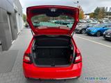 Skoda Fabia 1.0 TSI Monte Carlo PANO/PDC/SHZ/KLIMA - gebrauchte Skoda Fabia aus dem Jahr 2017