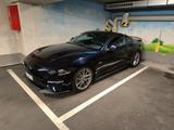 Ford Mustang GT 5.0 V8 | Recaro | OZ Racing | Tiefer