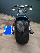 Harley-Davidson VROD Muscle  - gebrauchte Motorräder in Rostock