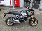 Honda MSX125 1. Hand wie NEU ! - HONDA MSX