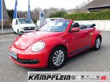 Volkswagen Beetle Cabriolet 1.2TSI BMT RCD310 Windschott LM - : Rot, Cabrio