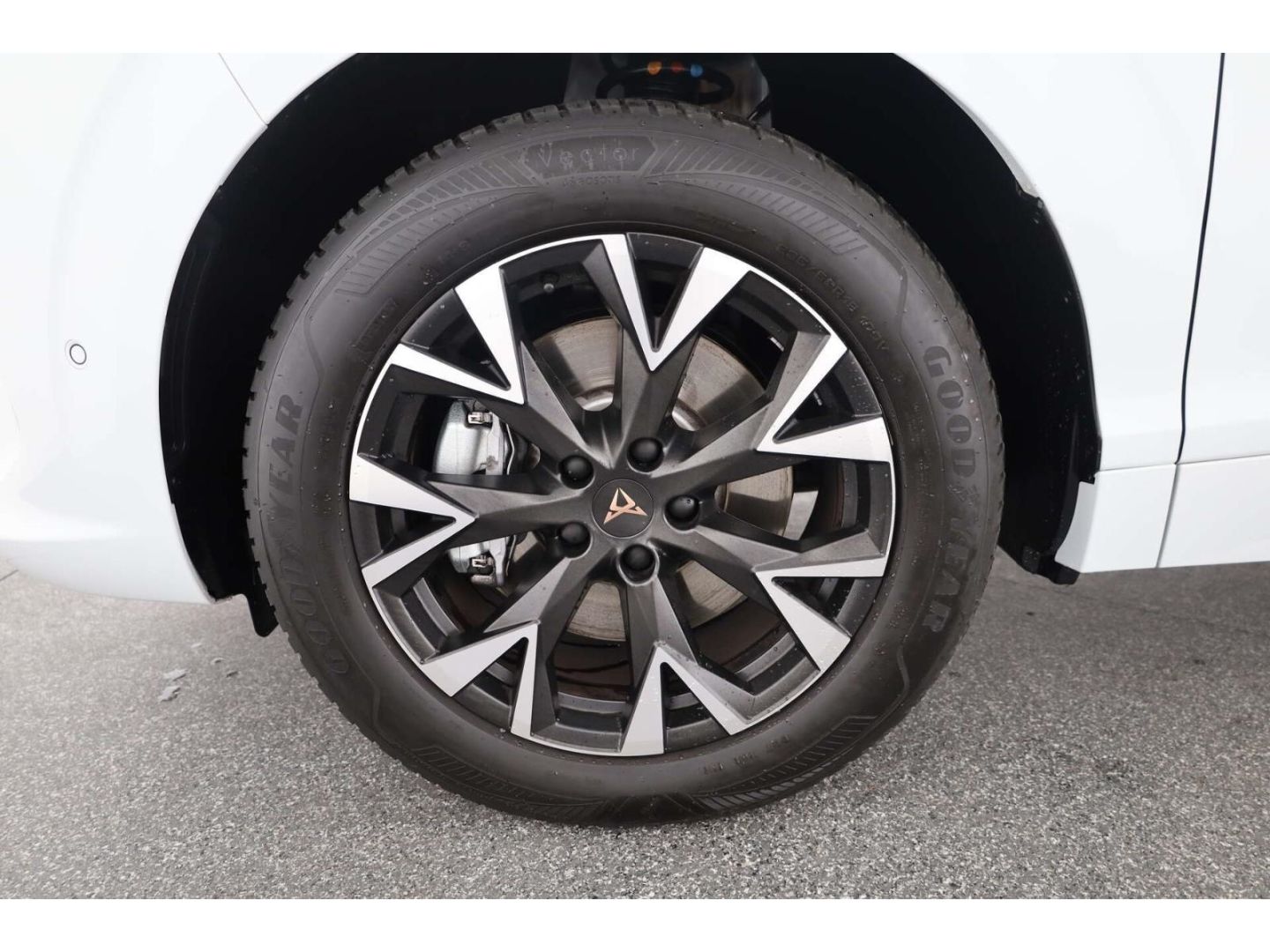 Cupra Terramar - Bild 8