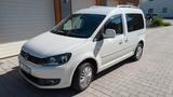 Volkswagen Caddy 1,6TDI 75kW CUP, Camping-Ausbau, TÜV 1,5J - Volkswagen Caddy: Cup