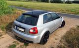 Audi S3 1.8 T AMK Tuning/Garrett/Käfig/Recaro/Duplex - : Allradantrieb, Tuning