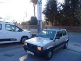 Fiat Panda 1100 i.e. cat Hobby KM 98000 - gebrauchte Fiat Panda aus dem Jahr 2003