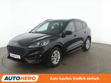 Ford Kuga 2.0 TDCi EcoBlue ST-Line X Aut.*NAVI*LED* - Ford Kuga aus 2023
